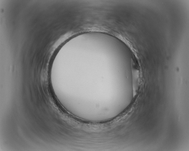 X0000081450008200701261924