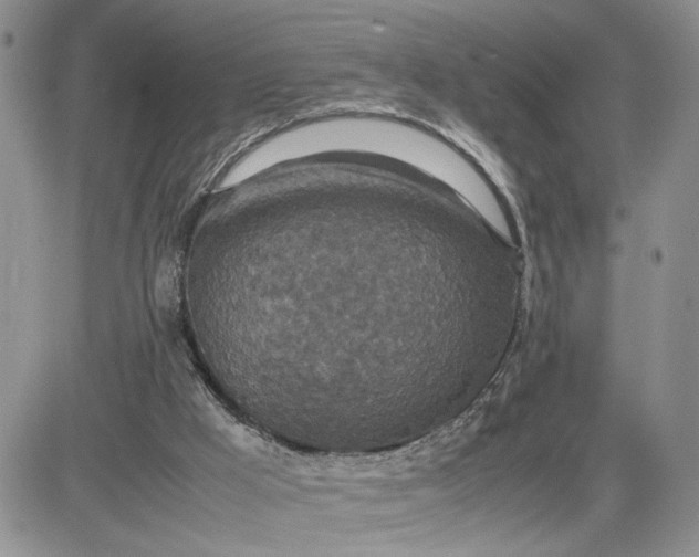 X0000081450009200701261924