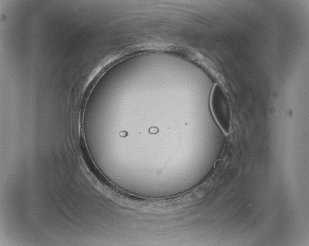 X0000081450011200701261924