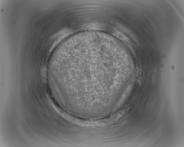 X0000081450012200701261924