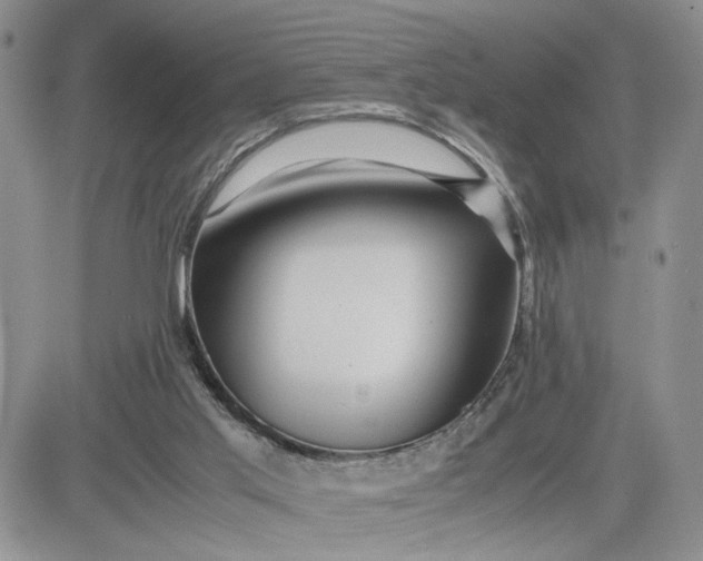 X0000081450013200701261924