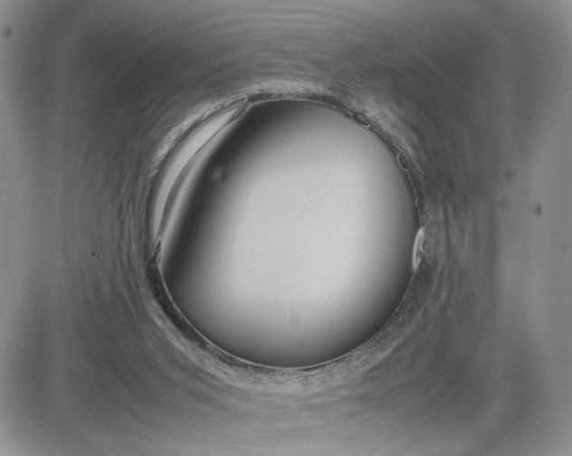 X0000081450015200701261924