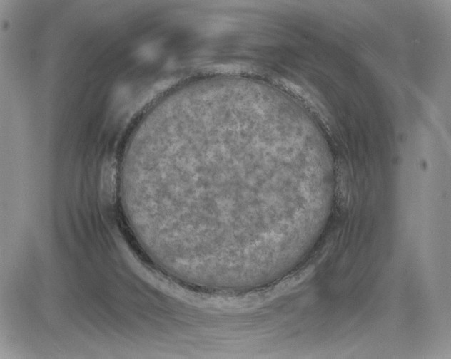 X0000081450016200701261924