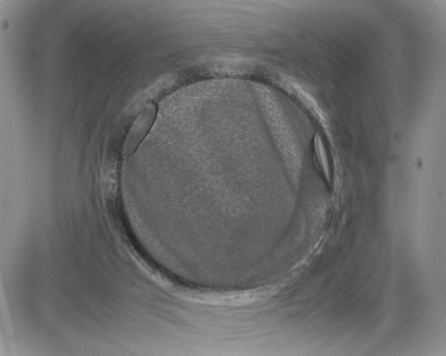 X0000081450017200701261924