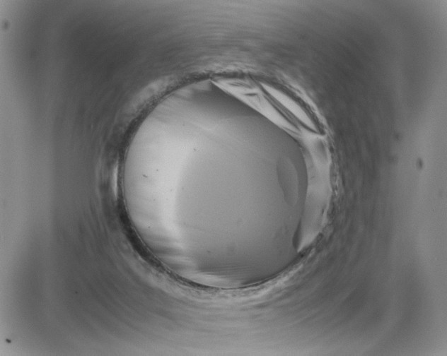 X0000081450019200701261924