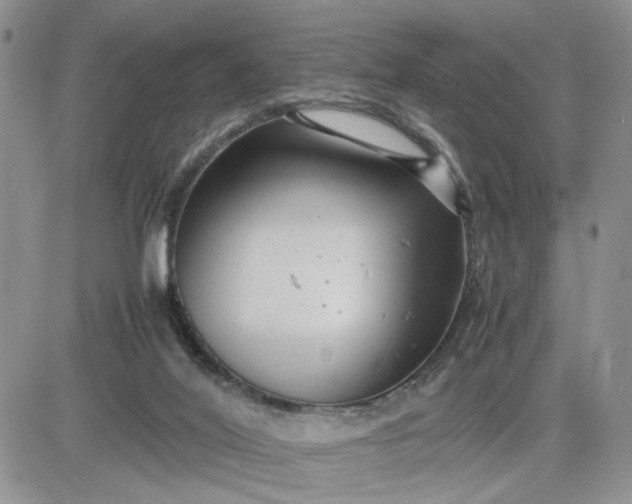 X0000081450020200701261924