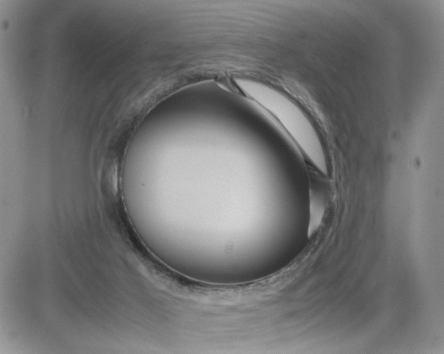 X0000081450021200701261924