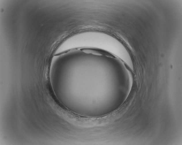 X0000081450023200701261924