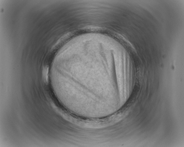 X0000081450024200701261924