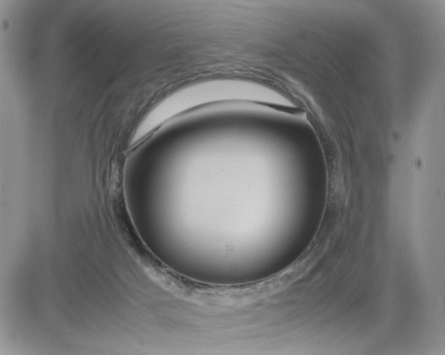 X0000081450025200701261924