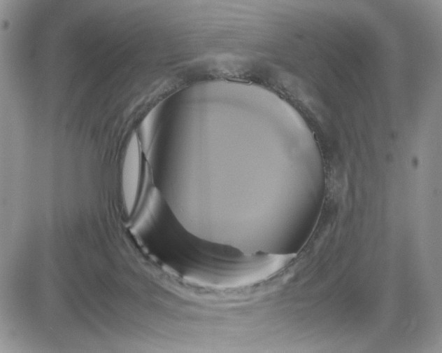 X0000081450027200701261924