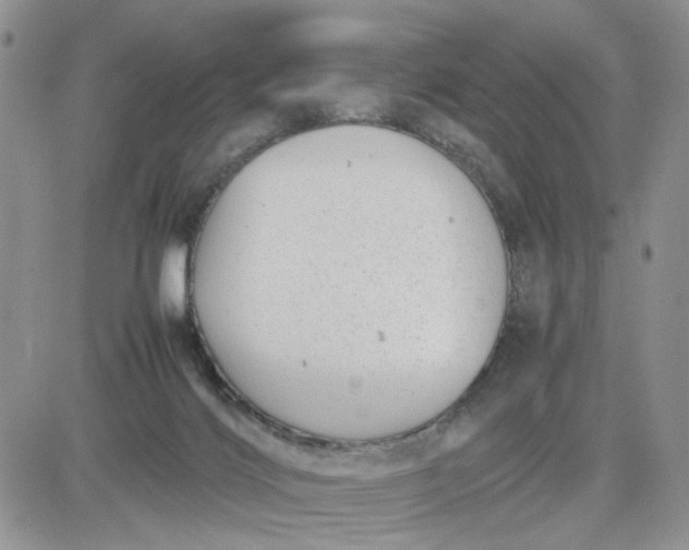 X0000081450028200701261924