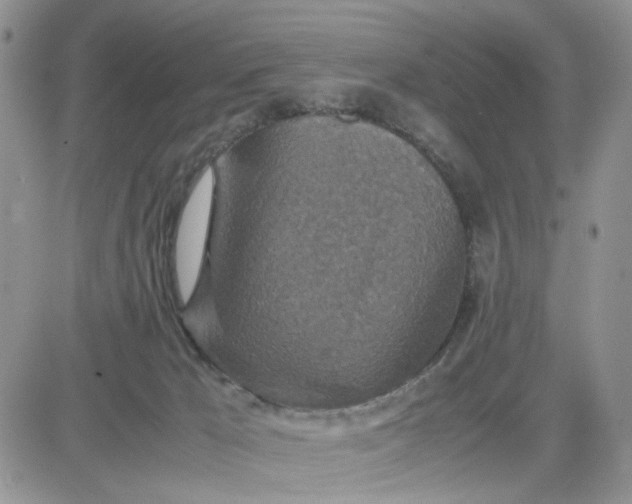 X0000081450029200701261924