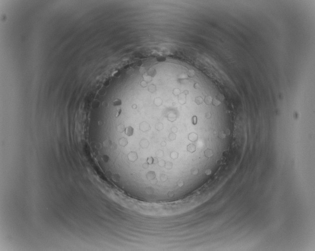 X0000081450030200701261924