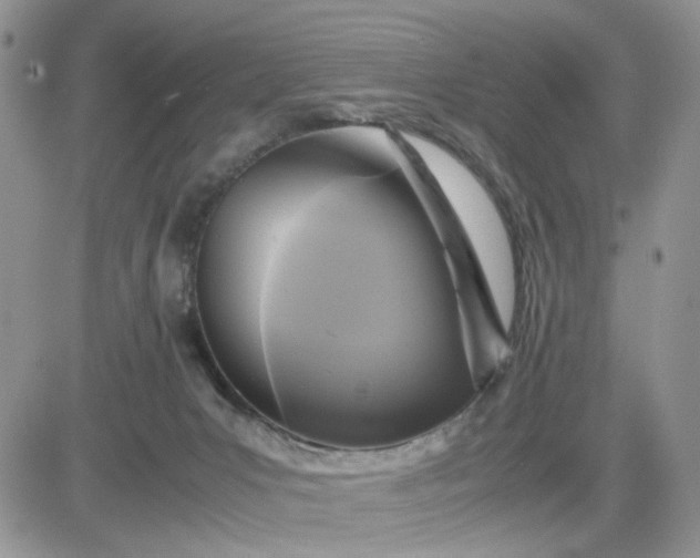 X0000081450031200701261924