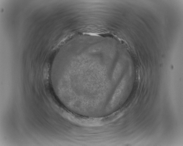 X0000081450032200701261924