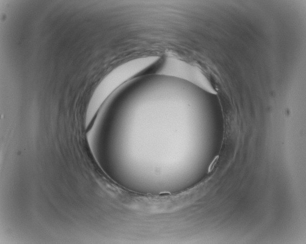 X0000081450033200701261924