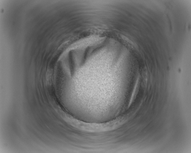 X0000081450034200701261924