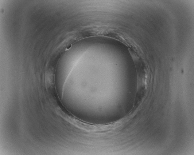 X0000081450035200701261924