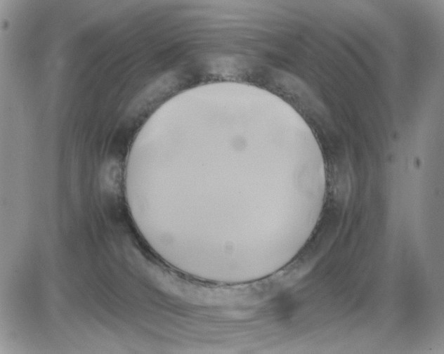 X0000081450036200701261924