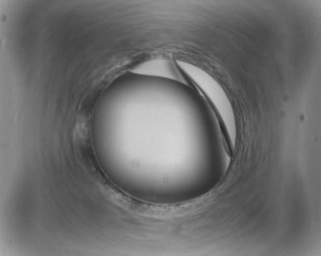 X0000081450037200701261924