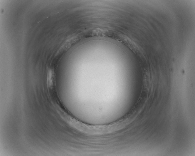 X0000081450038200701261924