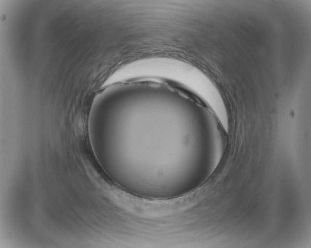 X0000081450039200701261924