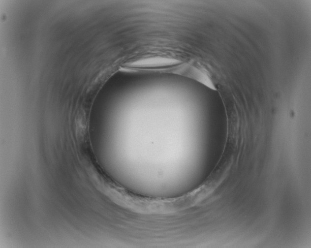 X0000081450040200701261924