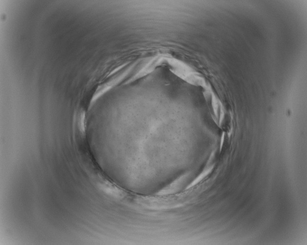 X0000081450041200701261924