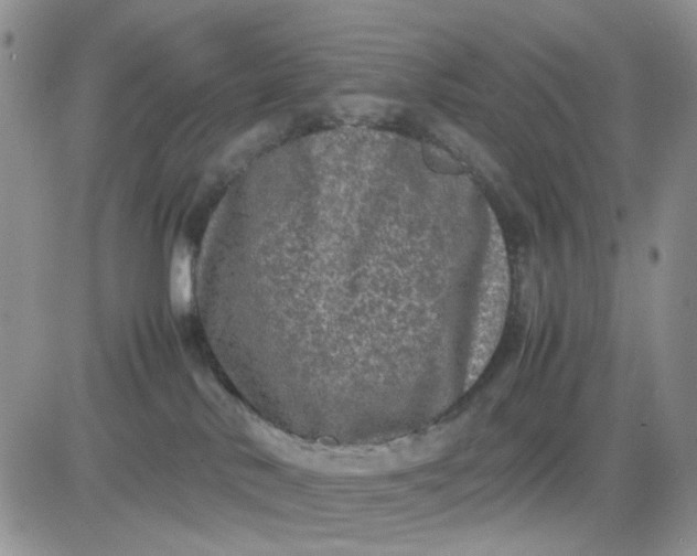 X0000081450042200701261924