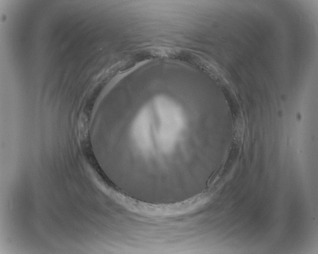 X0000081450043200701261924