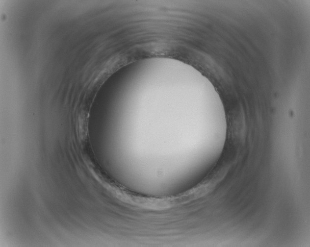 X0000081450044200701261924