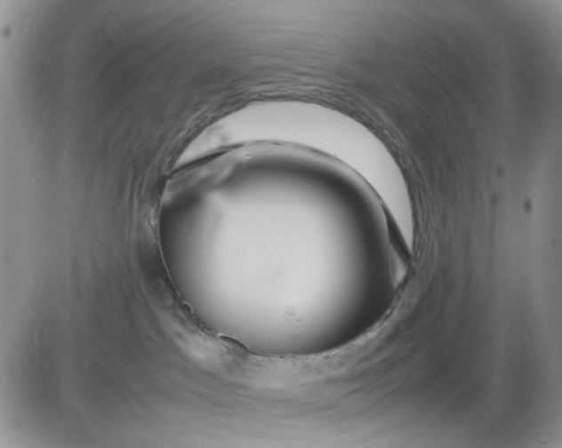 X0000081450045200701261924