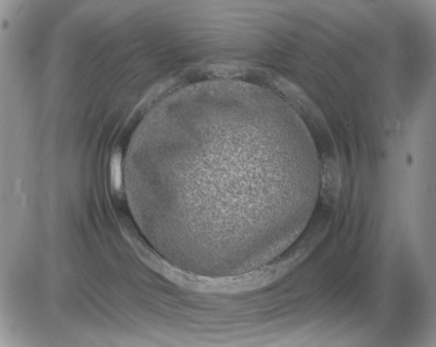 X0000081450046200701261924