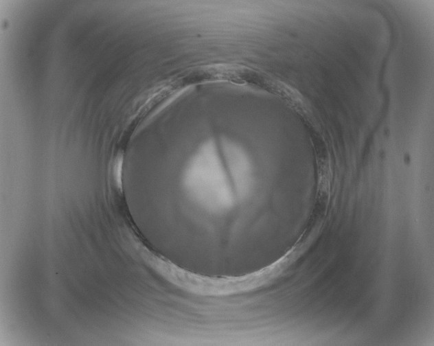 X0000081450047200701261924