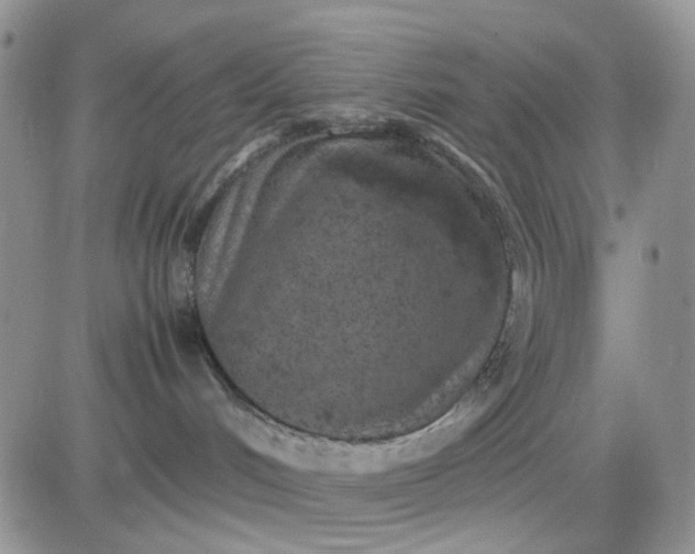 X0000081450048200701261923