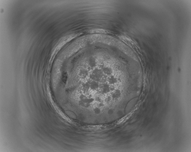 X0000081450049200701261923