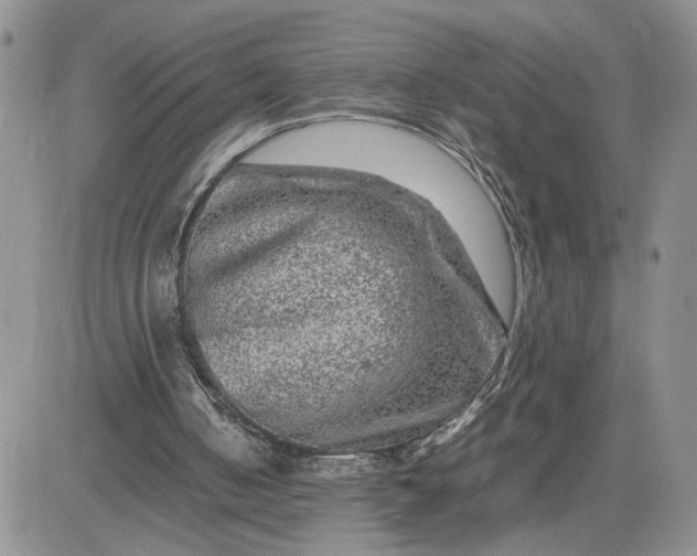 X0000081450050200701261923