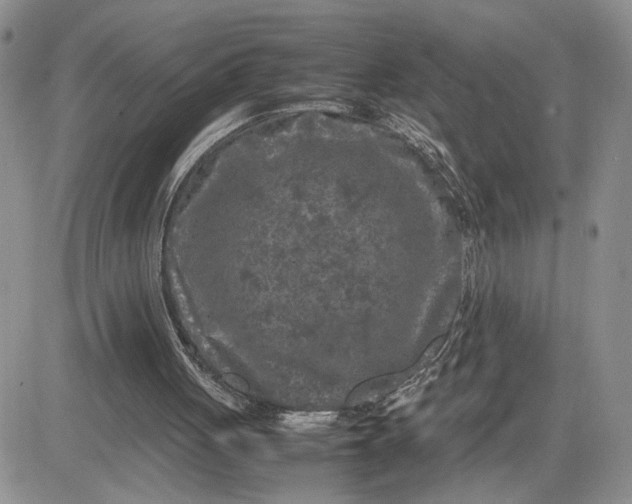 X0000081450051200701261923