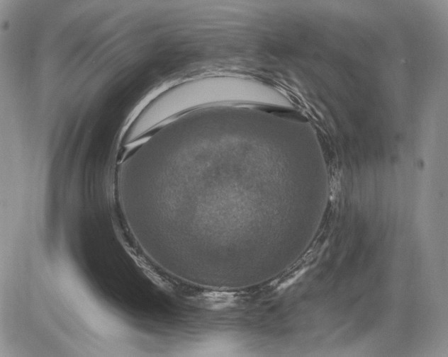 X0000081450052200701261923