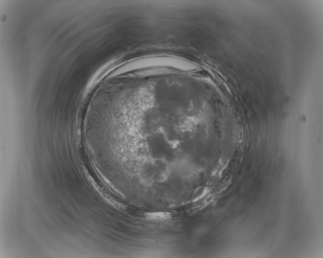 X0000081450053200701261923