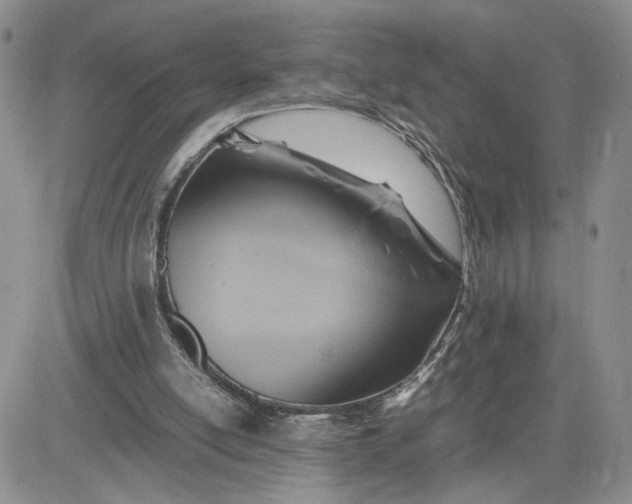 X0000081450054200701261923