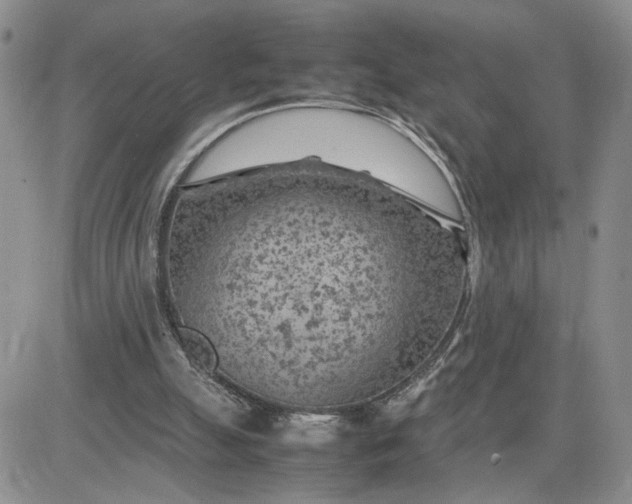 X0000081450055200701261923