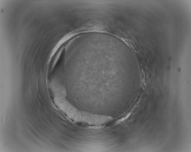 X0000081450056200701261923