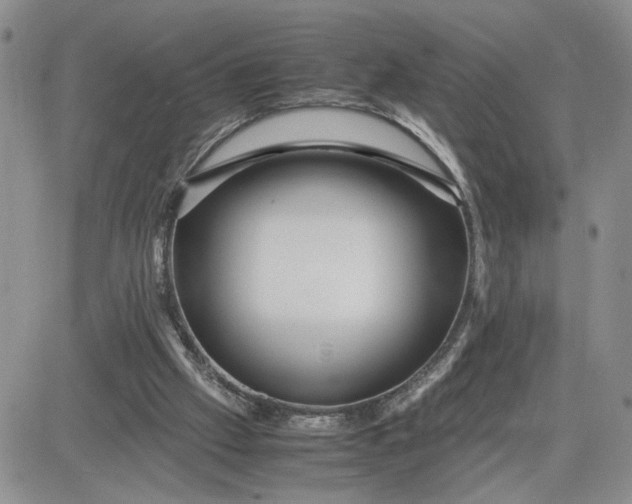 X0000081450057200701261923