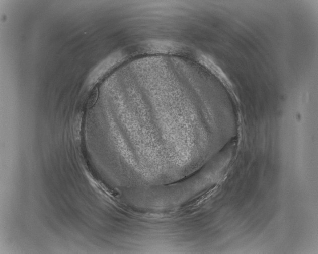 X0000081450058200701261923