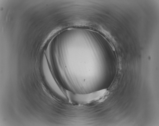 X0000081450060200701261923