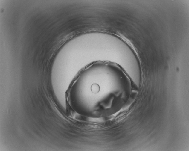 X0000081450061200701261923