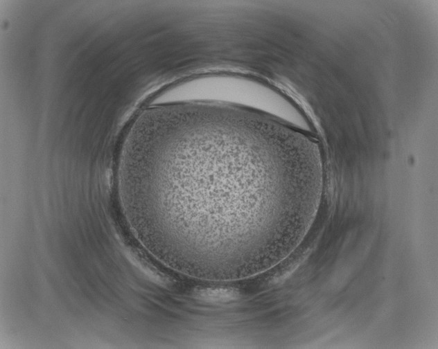 X0000081450063200701261923