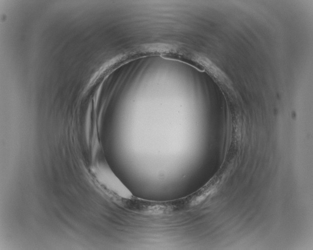 X0000081450064200701261923